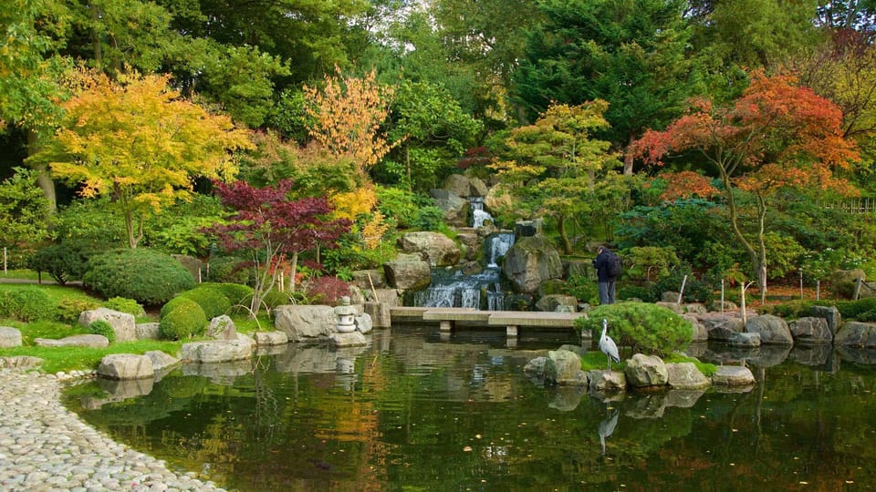 Holland Park – 1.2 miles
Discover tranquility in London’s hidden gem, featuring serene Japanese gardens, roaming peacocks, and open-air theatre performances.  