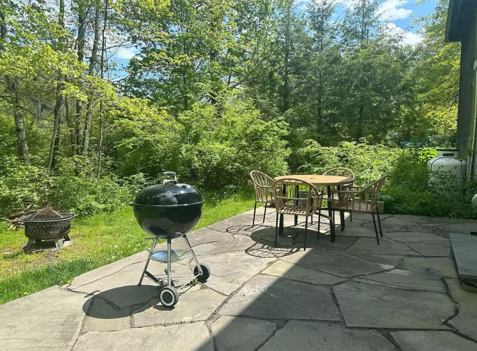 Back patio and fire pit. Charcoal briquets and utensils for grilling provided.
