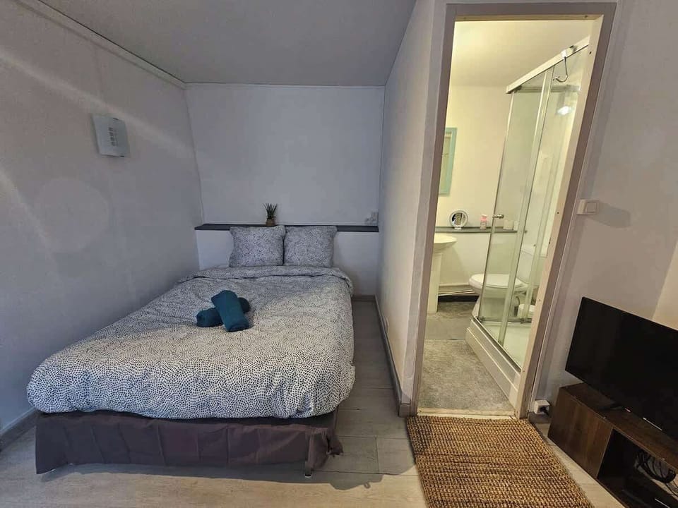 Espace chambre avec lit double.
La chambre est ouverte sur le salon avec télévision.