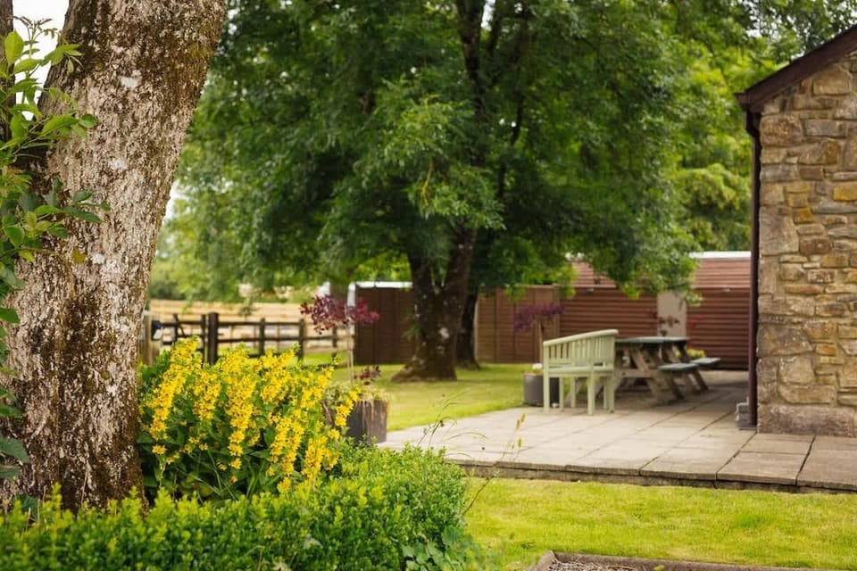 Scolton Country Cottages July 24-024