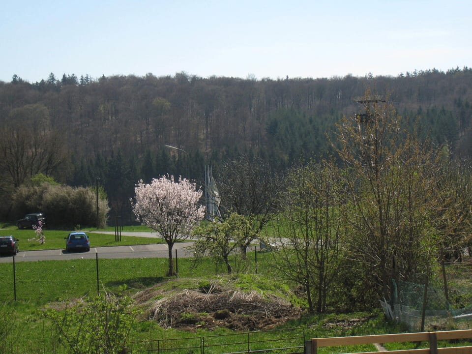 Classic House, 3 Bedrooms | View from property