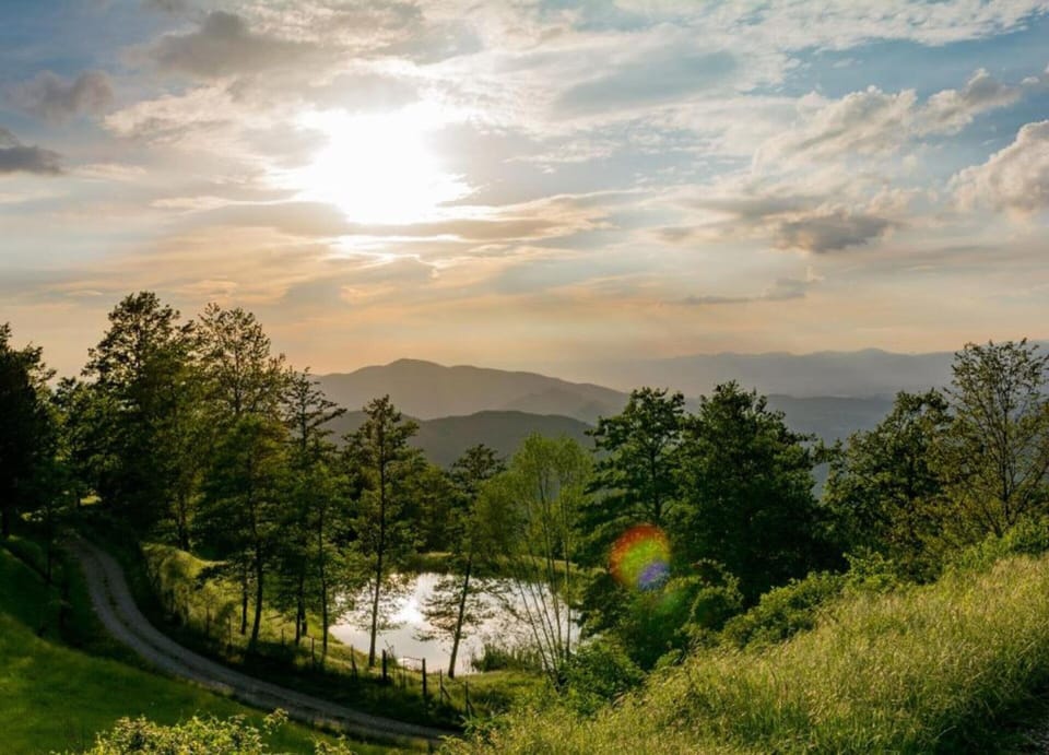 Deluxe House, 3 Bedrooms | Living room | Fireplace