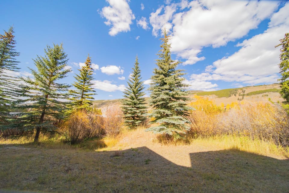 Enjoy CO Blue Skies #fall