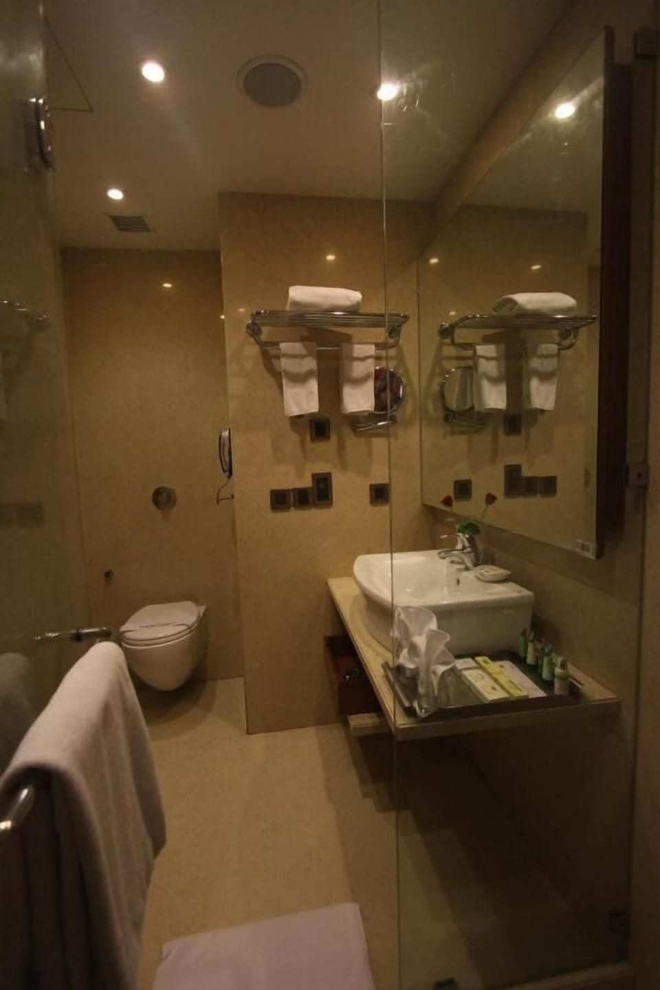 Deluxe Room | Bathroom | Free toiletries, slippers, towels, soap