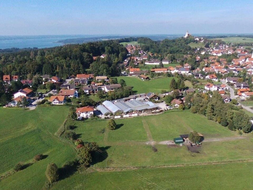 House | Aerial view