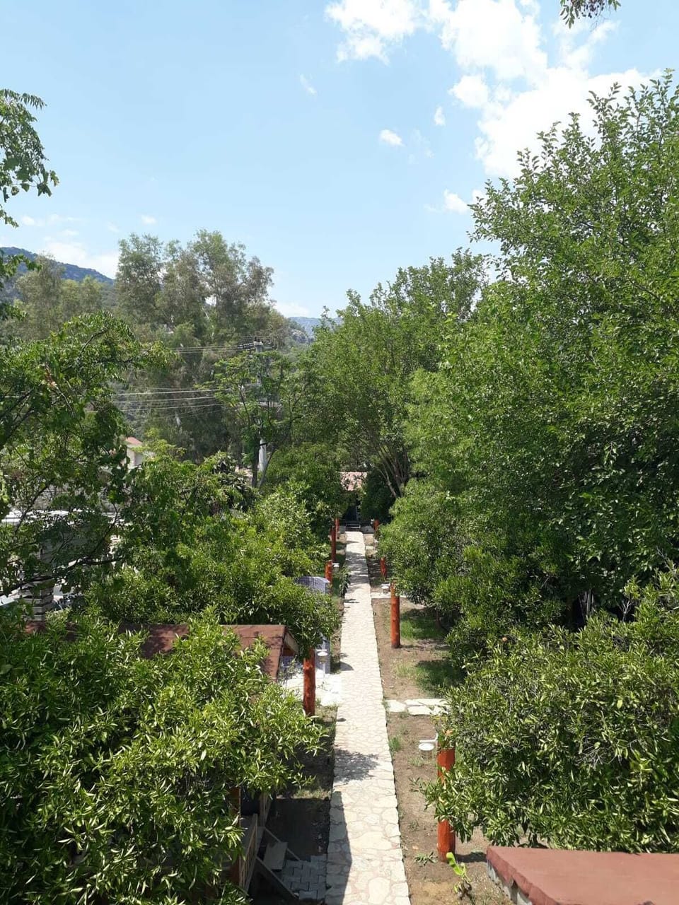 View from room