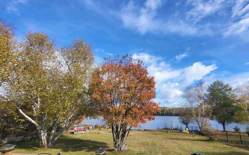 View from property