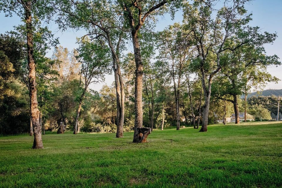 Image picker 313DCFCB 66A8 42D8 B6C7 DA9B8A78FF46 509 000000D4437E2178