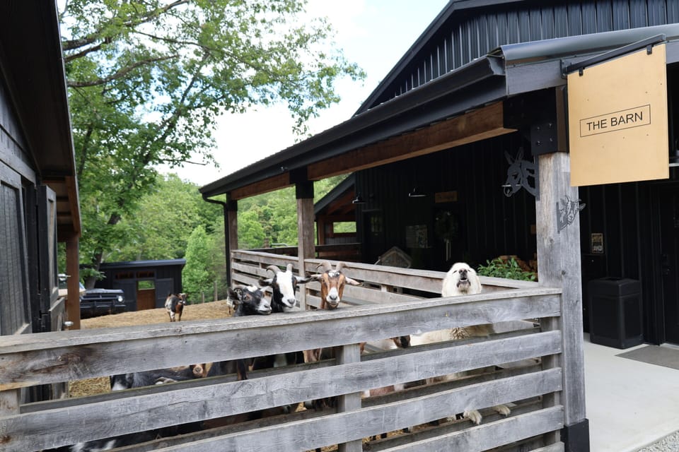The Barn (farm animals)
