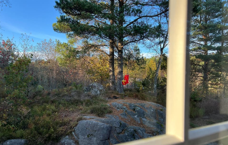 view-from-room