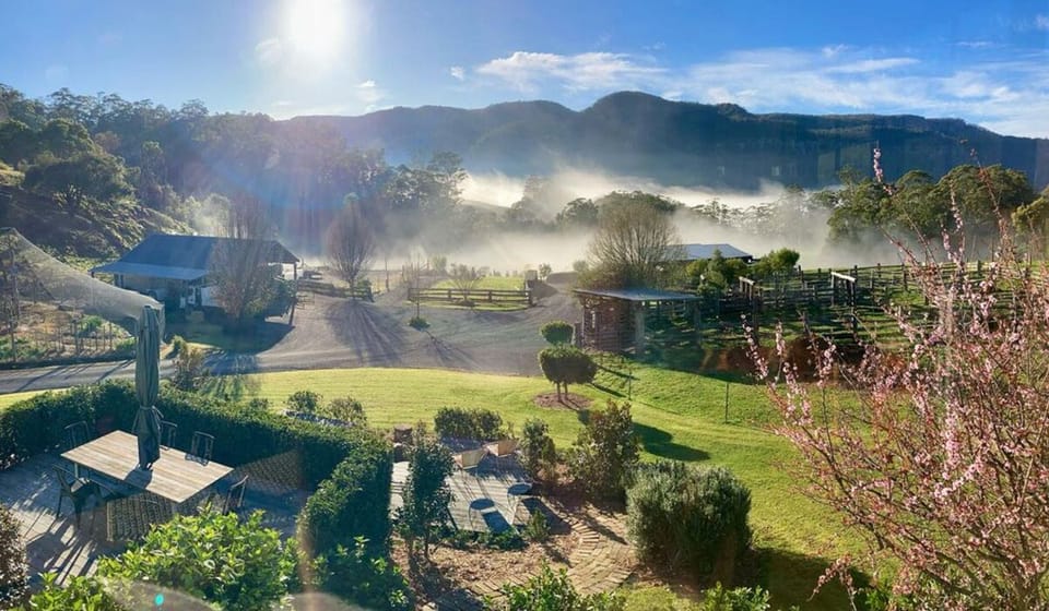 Misty mornings