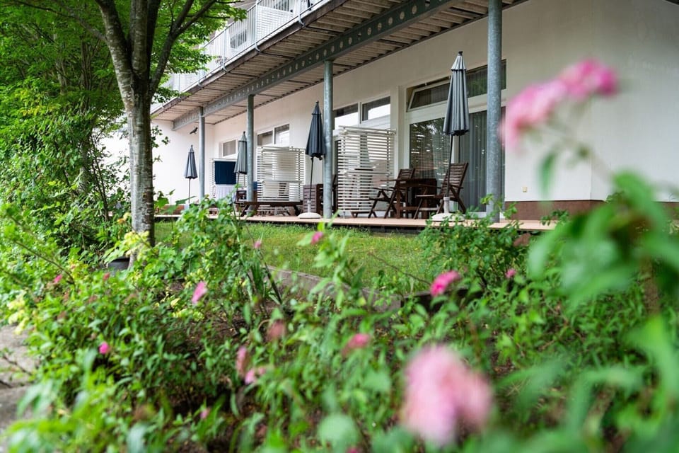 Garden [summer]