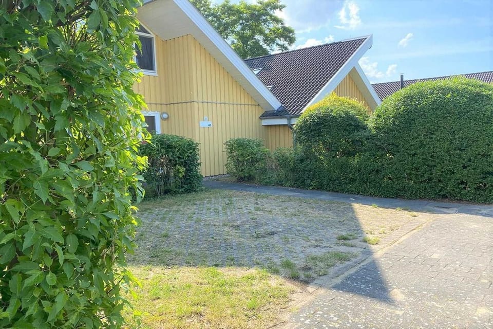 Garden [summer]