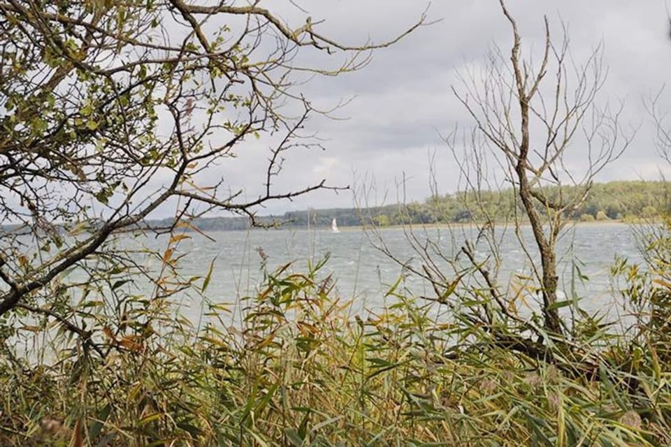 Surroundings [summer] (1-5 km)
