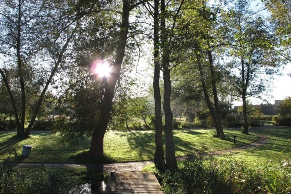 Garden [summer]