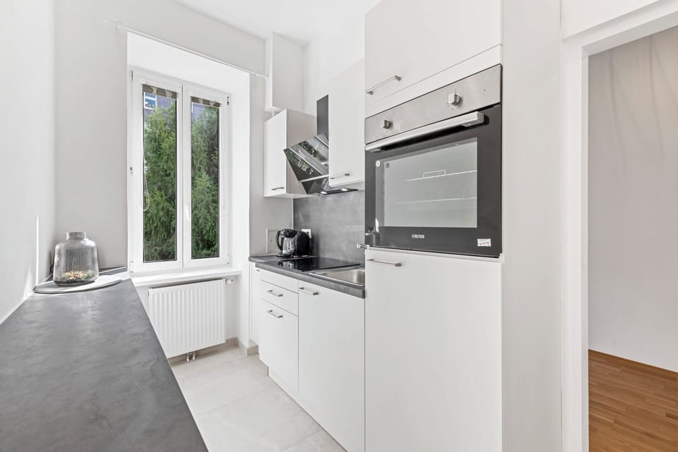Deluxe Apartment, City View | Private kitchen