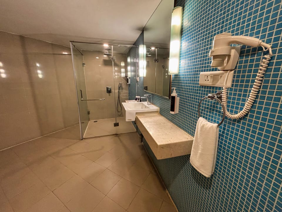Deluxe Double or Twin Room, 1 Bedroom, Non Smoking, City View | Bathroom | Shower, free toiletries, hair dryer, towels