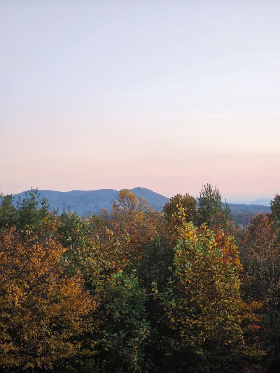 view from the back porch