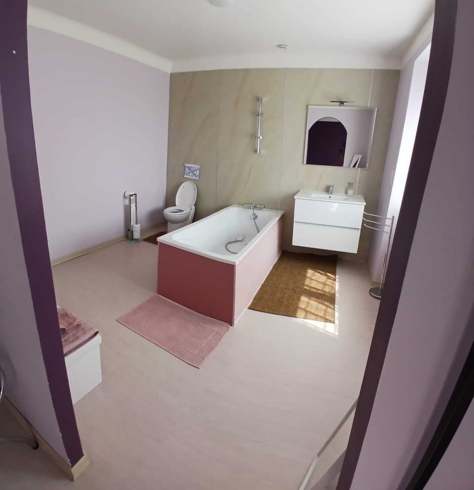 Premium Double Room (Chambre 4) | Bathroom | Hair dryer, towels, soap, shampoo
