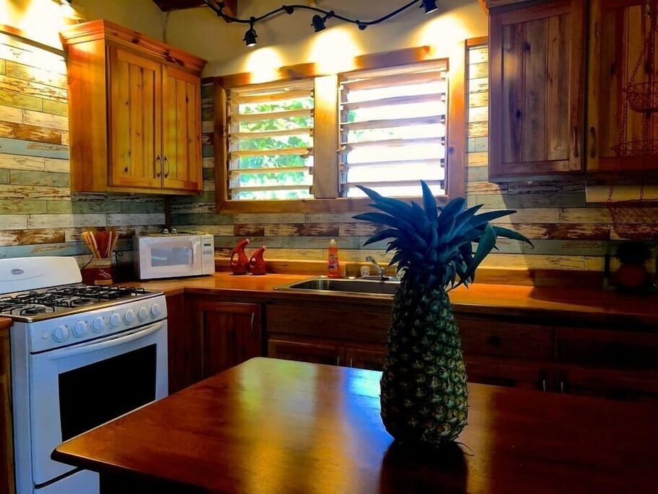Kitchen is complete with gas stove, microwave and fridge. 