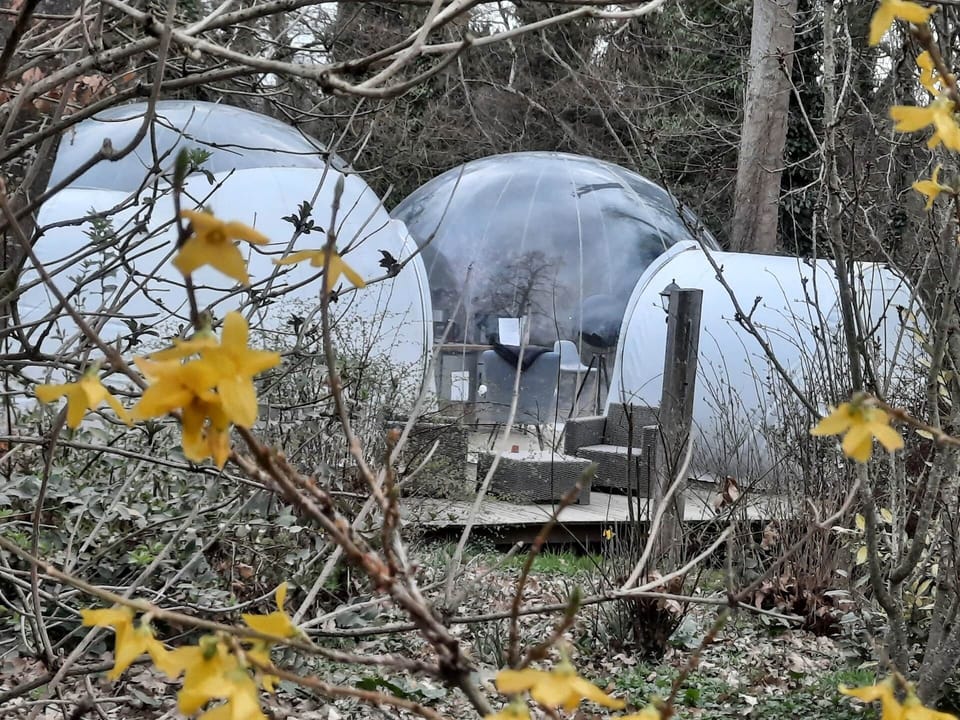 la maison bulle en tout début de printemps
