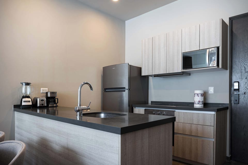 Sleek and modern kitchen with all the essentials for cooking a delicious meal.