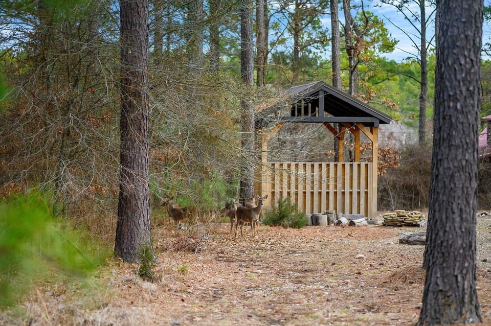 You're bound to see friendly deer during your stay.