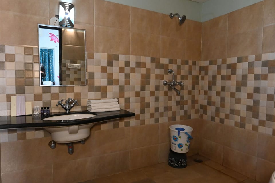 Shower, hydromassage showerhead, free toiletries, bidet
