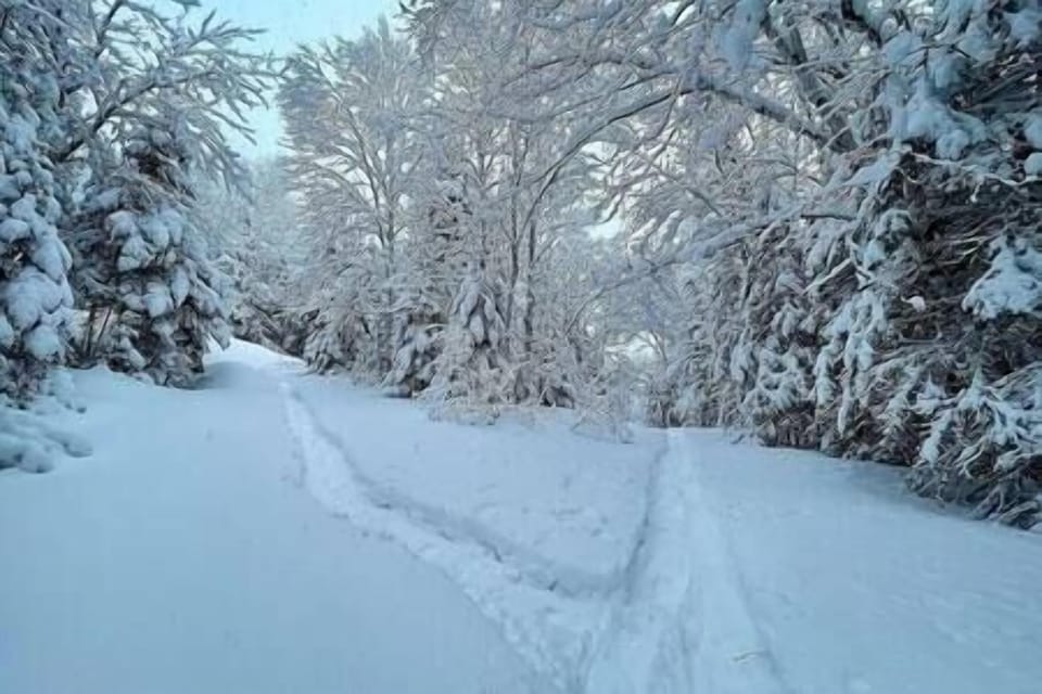 Winter