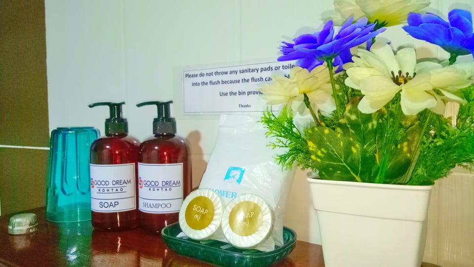 Deluxe Double Room | Bathroom amenities | Shower, hair dryer (on request), soap, shampoo