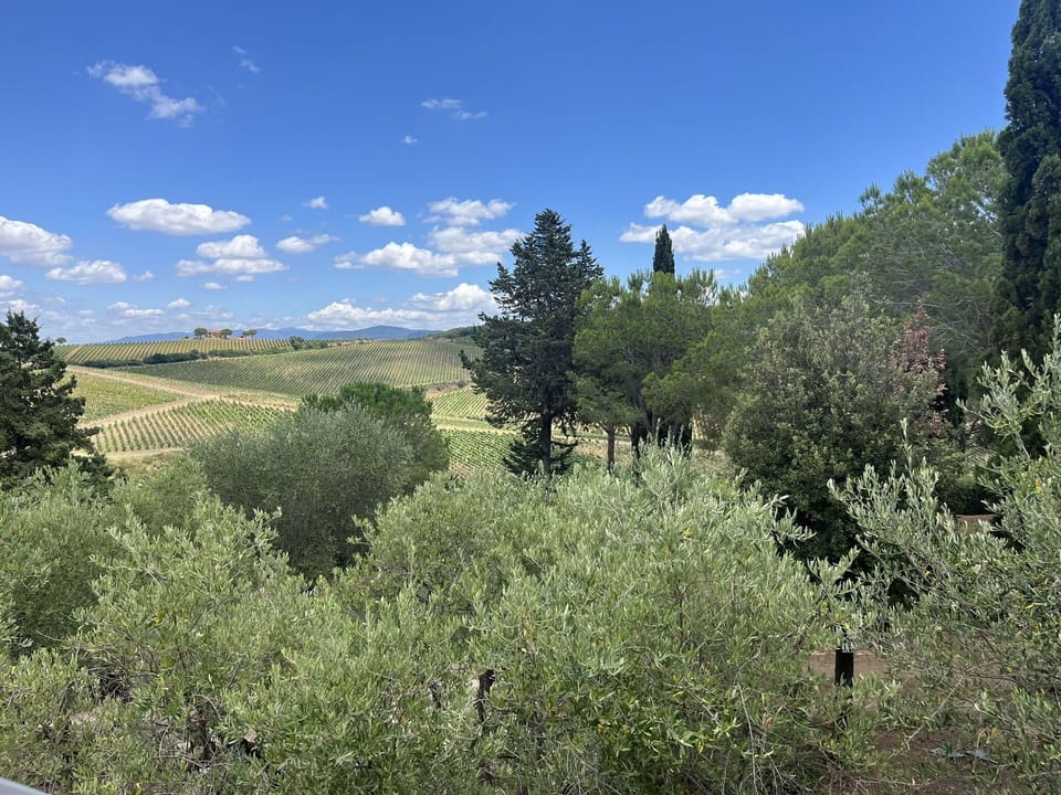 Scenic View