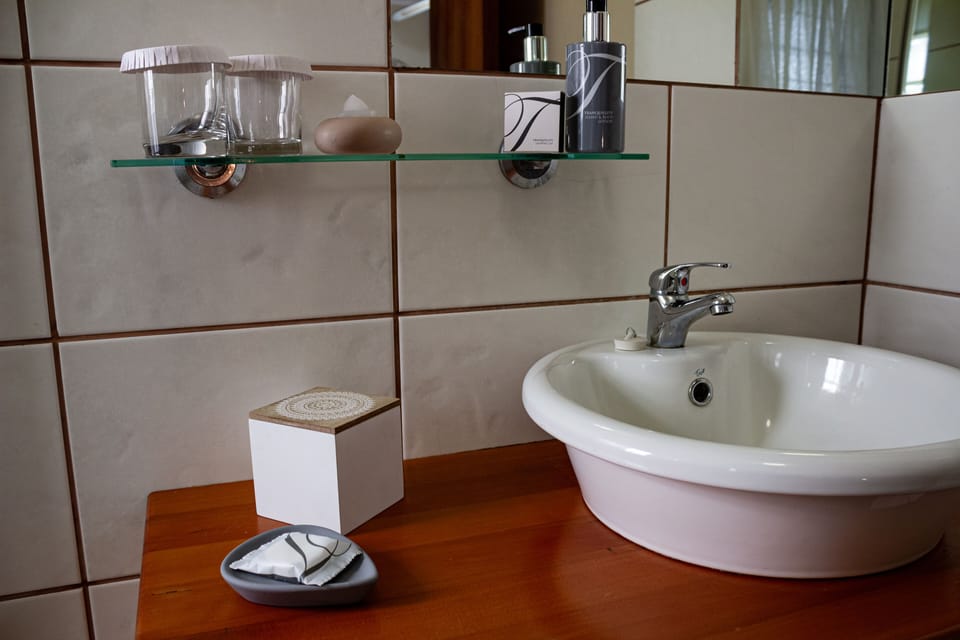 Deluxe Double or Twin Room (3) | Bathroom | Free toiletries, hair dryer, towels