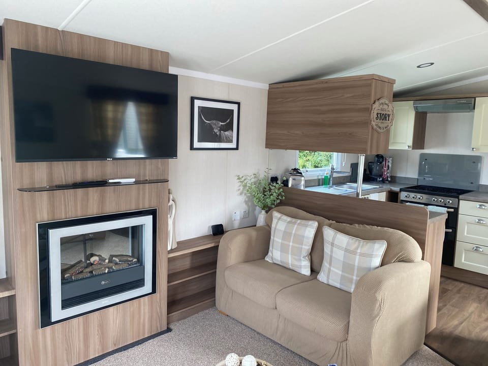 Cabin | Living area | TV, fireplace