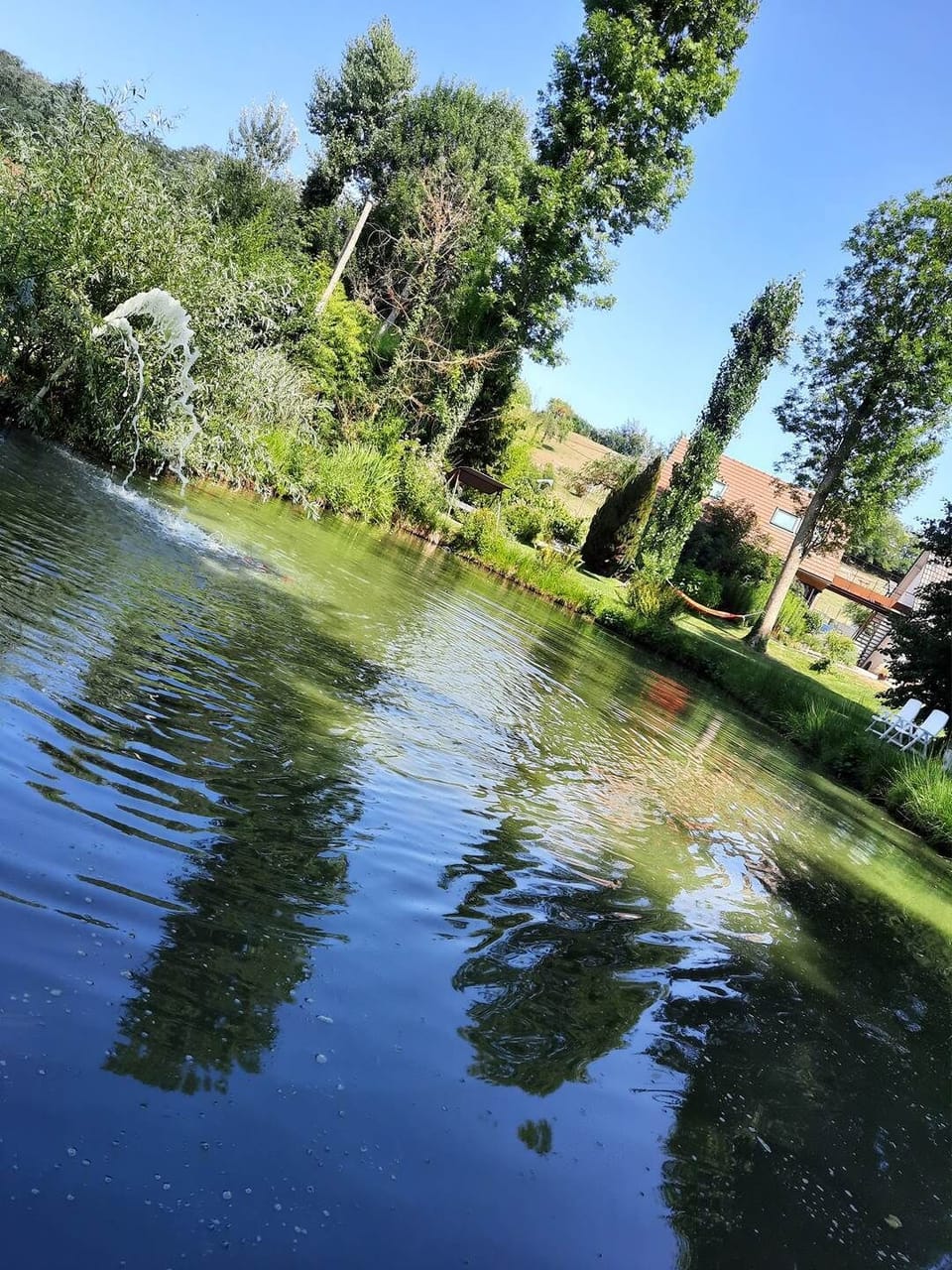 coté bassin