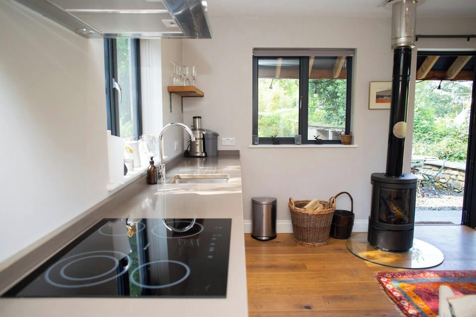 Kitchen area in the cabin with electric hob and wood burner
