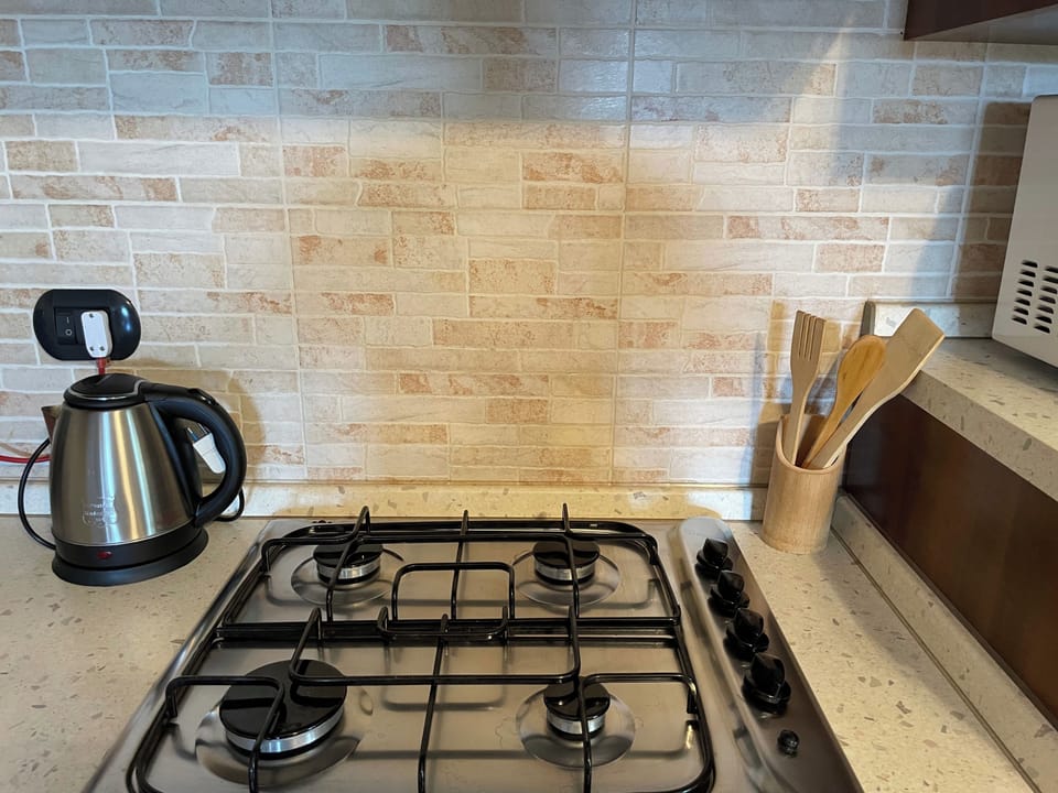House | Private kitchen | Fridge, microwave, oven, stovetop