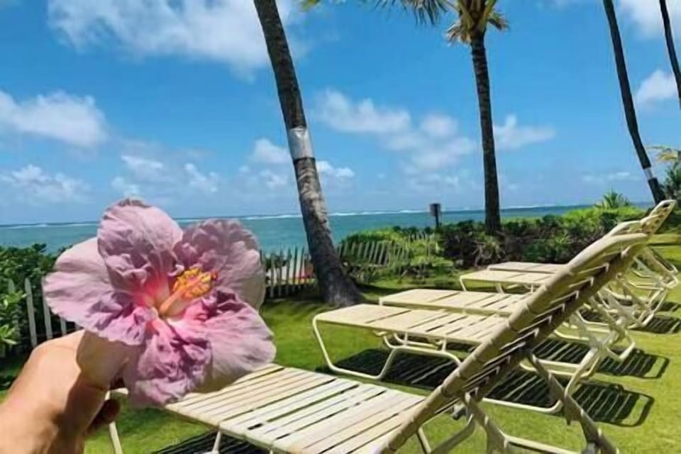 Coastal Dream Getaway (4)