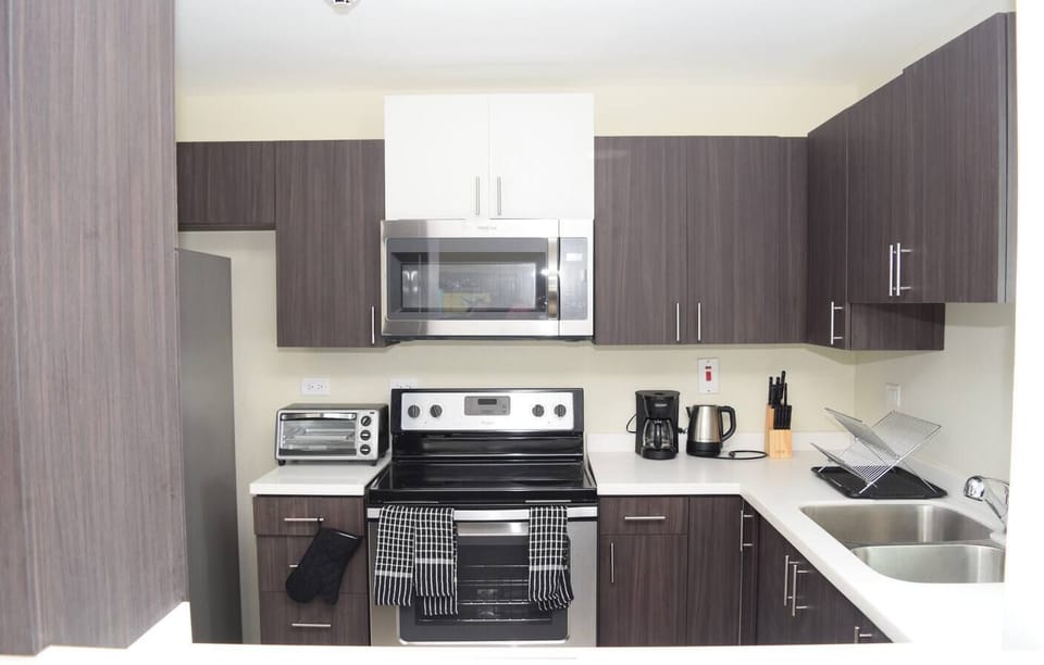 Deluxe Apartment | Private kitchen | Fridge, microwave, oven, stovetop