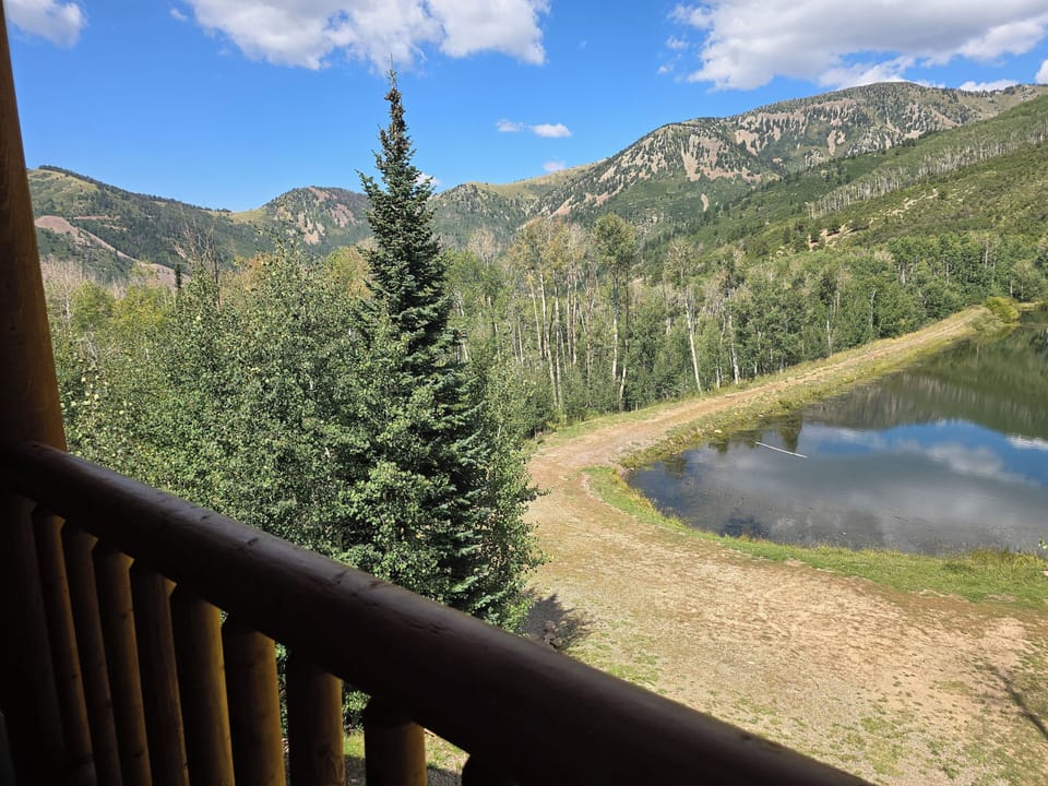 Back deck view lodge