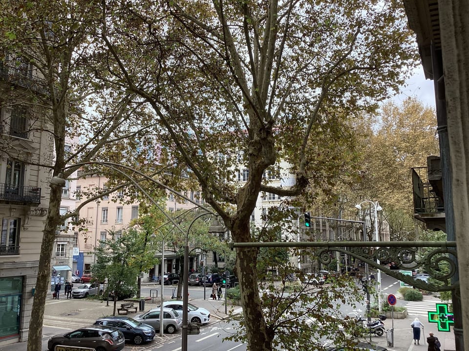 View from property