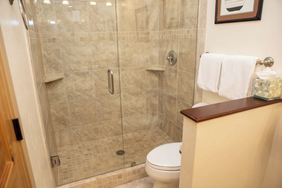 A bathroom featuring a glass-enclosed shower with beige tile, a white toilet, a towel rack with two white towels, and a tissue box on a small dividing wall.
