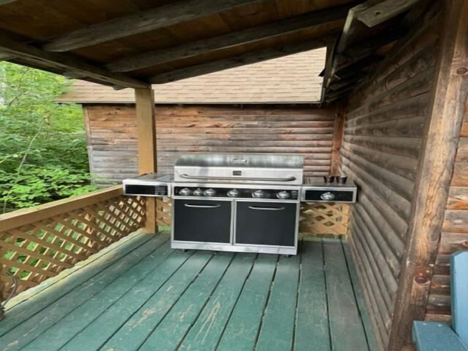 Propane Grill