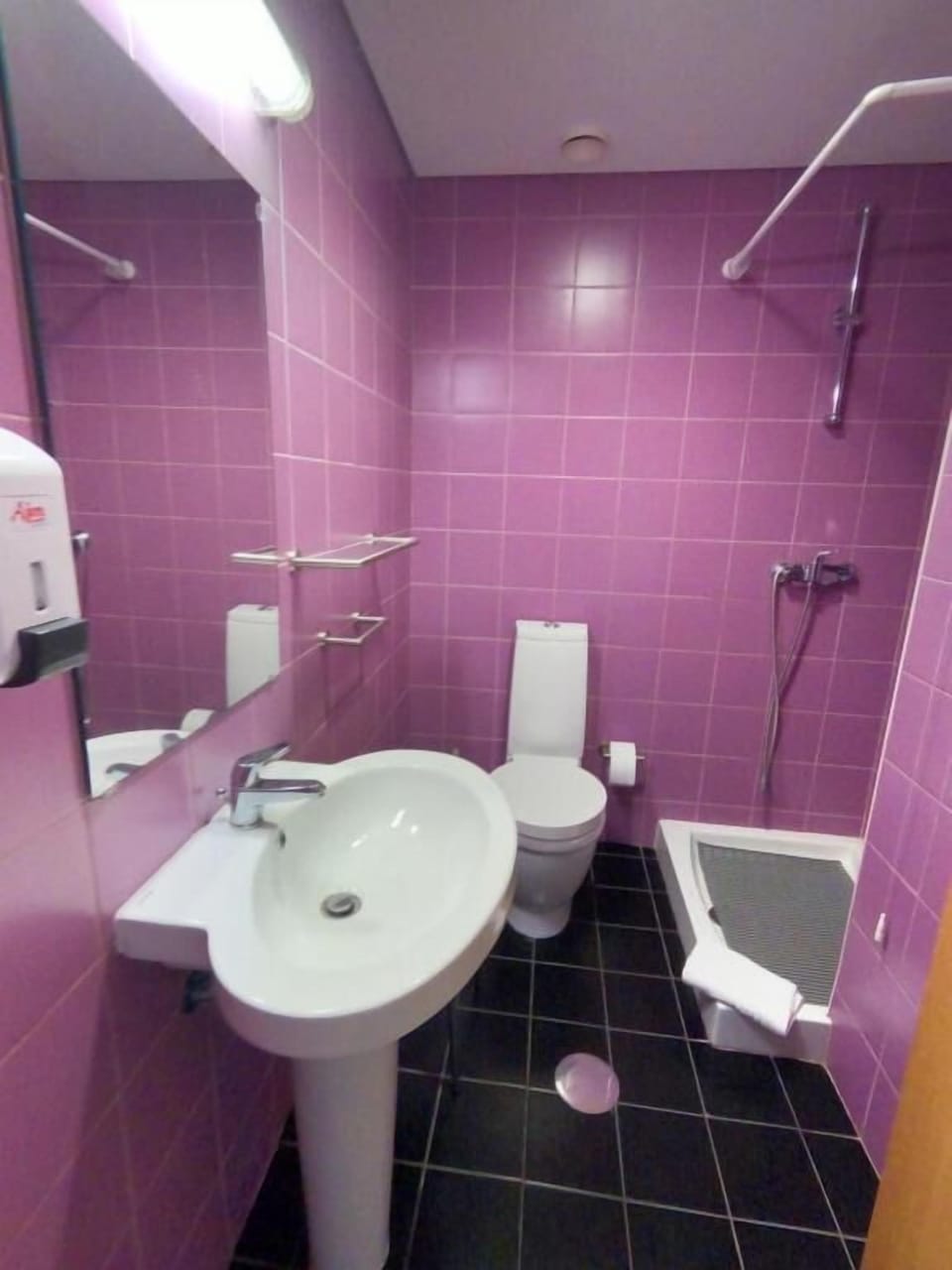 Shower, hair dryer, bidet