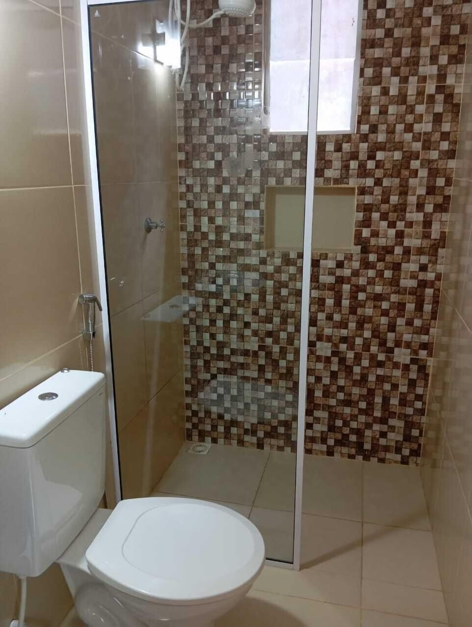 Shower, towels, toilet paper