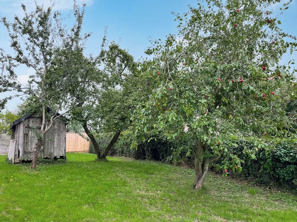 Garden | Lawns Cottage, Sproxton, near Helmsley
