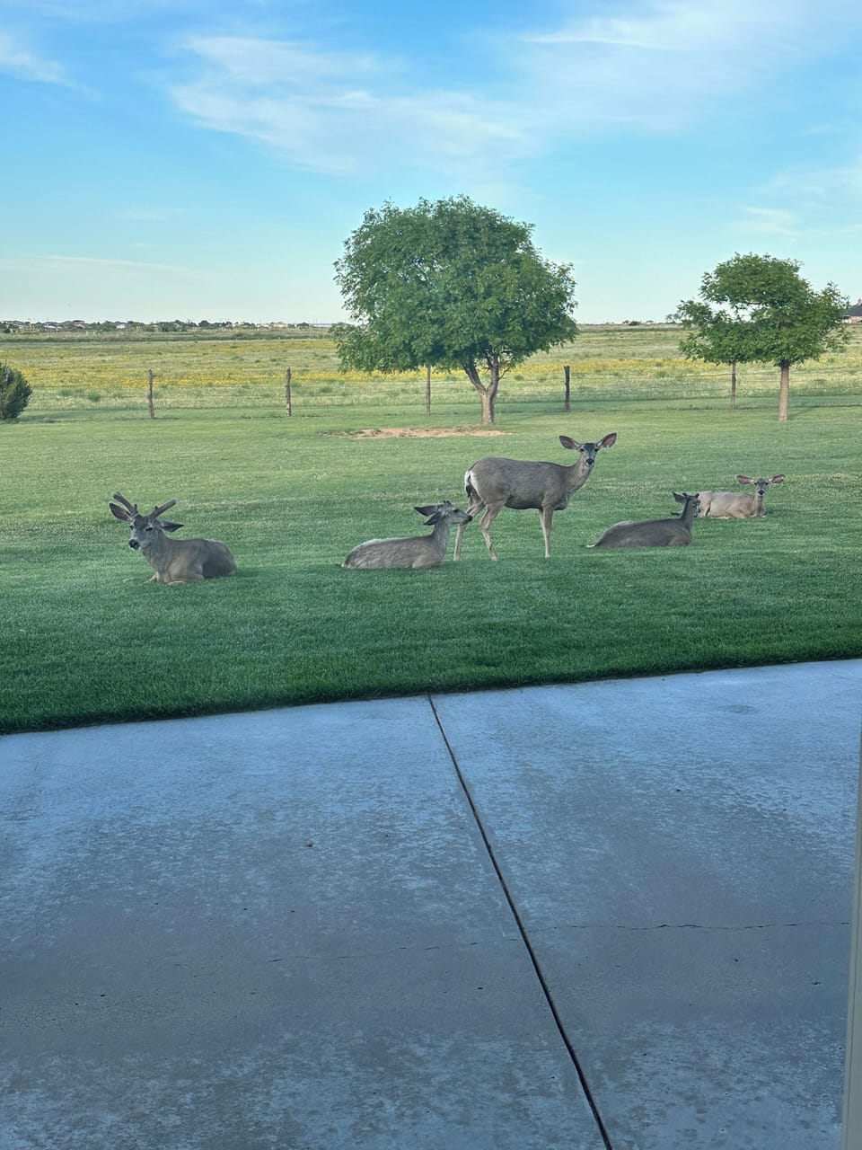 View from property