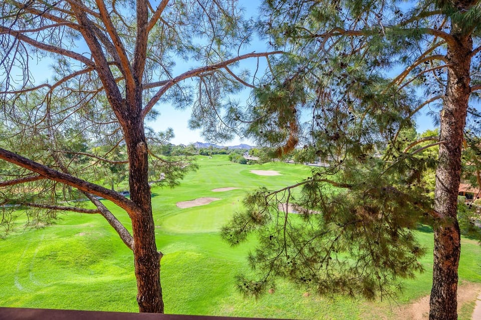 Stone Creek Gold Course view.