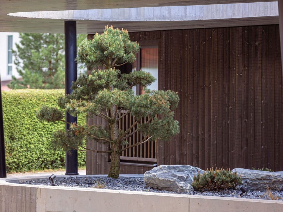 Apartment | Exterior