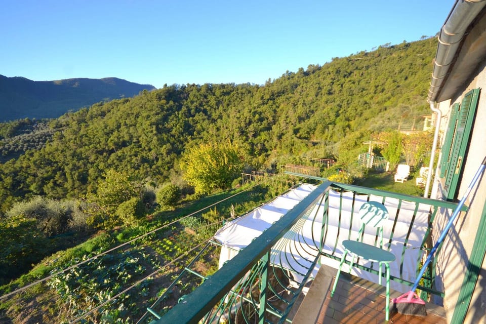 Patio / Balcony
