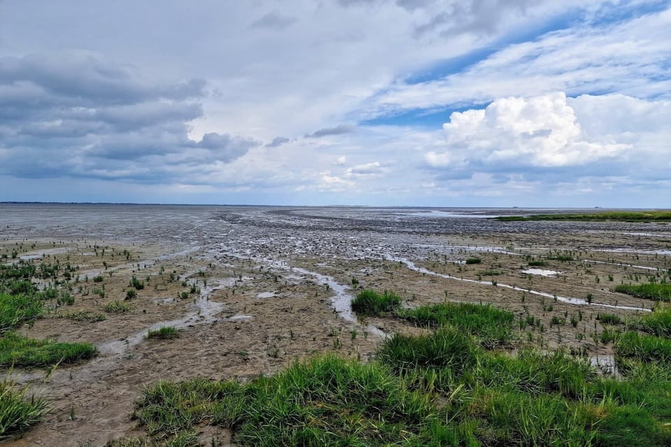 Surroundings [summer] (1-5 km)